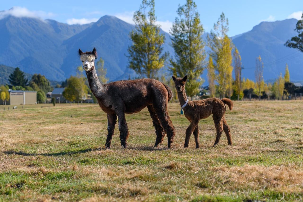 Kepler Mountain View Villa Manapouri Bagian luar foto